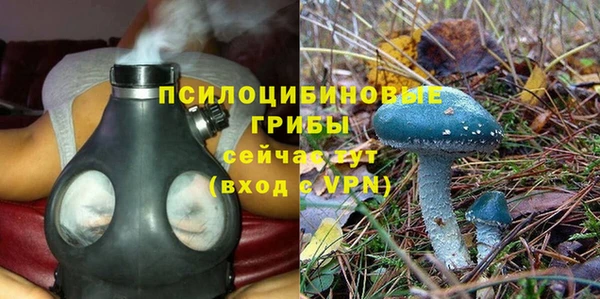 ALPHA-PVP Армянск