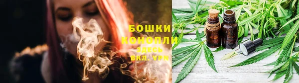 трава Арсеньев