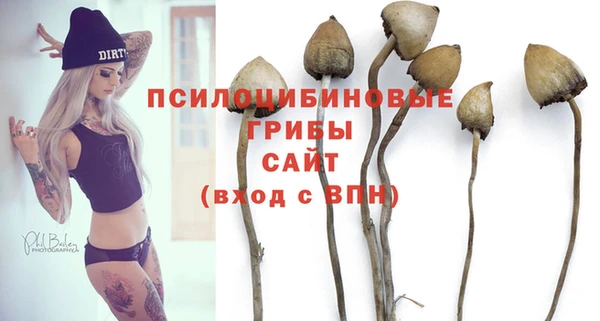 трава Арсеньев