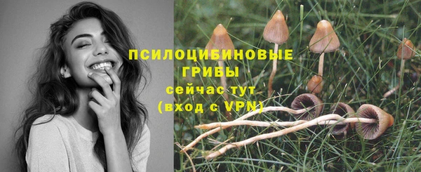 трава Арсеньев