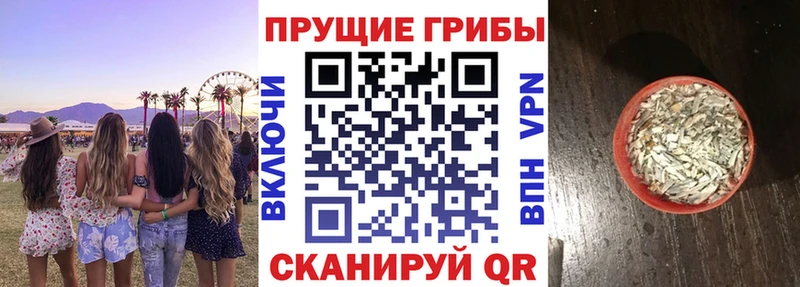 Псилоцибиновые грибы Magic Shrooms  MEGA ССЫЛКА  Пустошка 